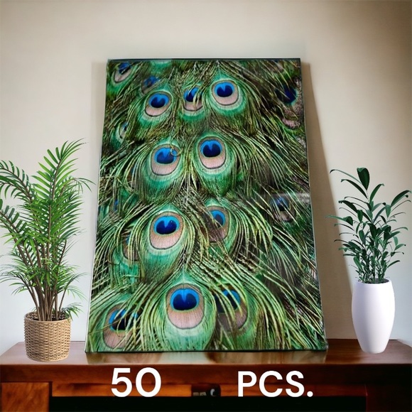 Other - 50 10X13 Poly Mailers Peacock Eyes PRICE IS FIRM